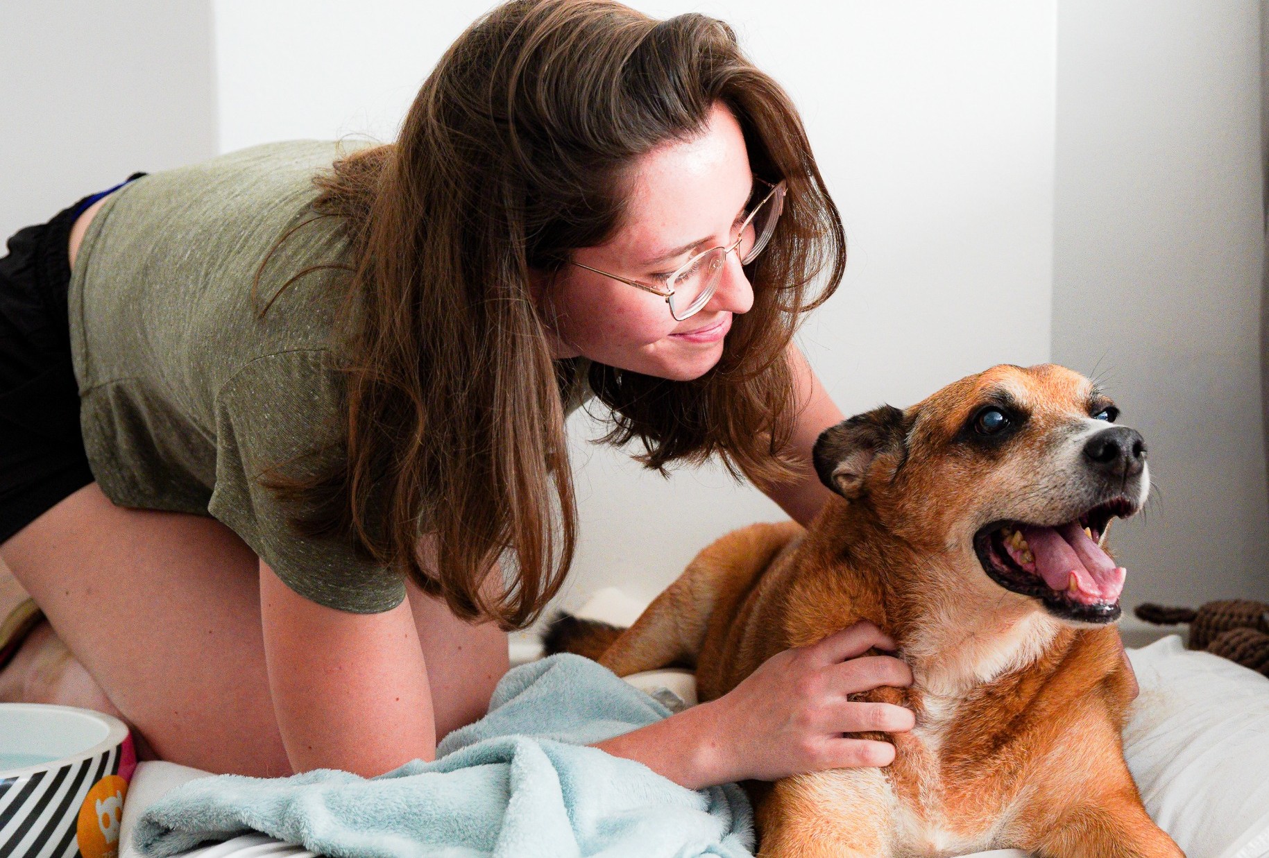 A imagem mostra uma mulher inclinada sobre uma cama, acariciando um cachorro de porte médio, de pelagem marrom. Ela usa óculos, camiseta verde e parece sorrir enquanto olha para o animal, demonstrando carinho e atenção.  O cachorro está deitado sobre uma manta clara, com a boca aberta e a língua para fora, aparentando estar relaxado e feliz. O ambiente é simples e bem iluminado, com paredes claras, transmitindo uma sensação de conforto e tranquilidade