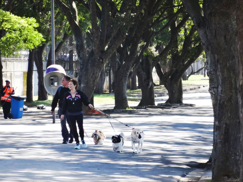 Casal passeia com cachorros. Foto: Marcelo Iha/ SPTuris.