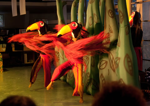 Bichos do Brasil. Foto: divulgação.