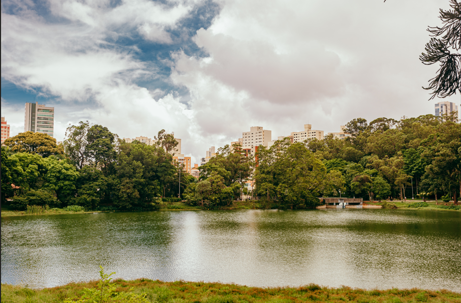 A cena mostra um grande lago ou rio em primeiro plano, com a água em tons de verde musgo ou azul-esverdeado escuro. A margem mais próxima tem vegetação rasteira em tons de verde-amarelado e marrom.  Atrás do lago, há uma densa área arborizada com muitas árvores em vários tons de verde escuro e verde floresta. No canto superior direito, destaca-se o formato de uma Araucária.  Acima das árvores, é visível o horizonte urbano, com prédios em branco, bege claro e alguns detalhes em terracota.  O céu está nublado, com grandes nuvens em tons de branco e cinza, mas com manchas de azul vibrante visíveis.