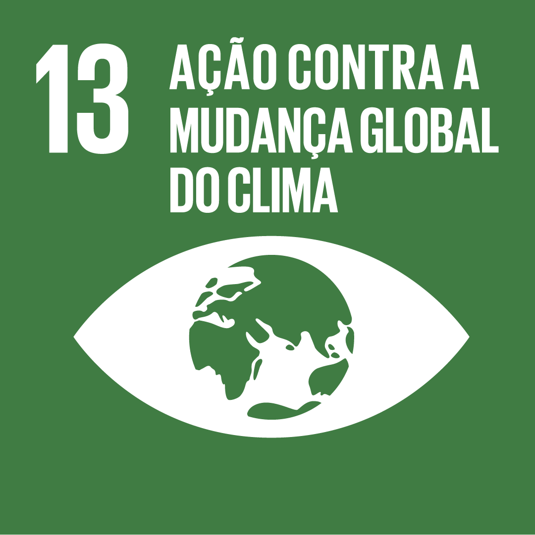 A imagem mostra o ícone da ODS 13 "Ação contra a Mudança Global do Clima", representada por um ícone verde escuro, com o desenho de um olho com o globo terrestre dentro