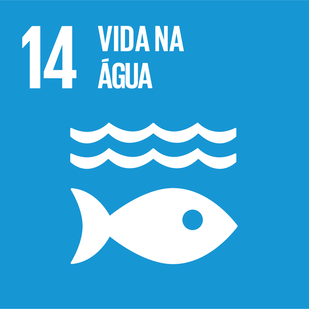 A imagem mostra o ícone das ODS 14 “vida na água”, representada por um ícone azul, com o desenho de duas ondas e um peixe