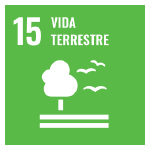 A imagem mostra o ícone da ODS 15 "Vida Terrestre", representada por um ícone verde, com o desenho de uma árvore com duas linhas horizontais abaixo e dois pássaros voando ao lado.