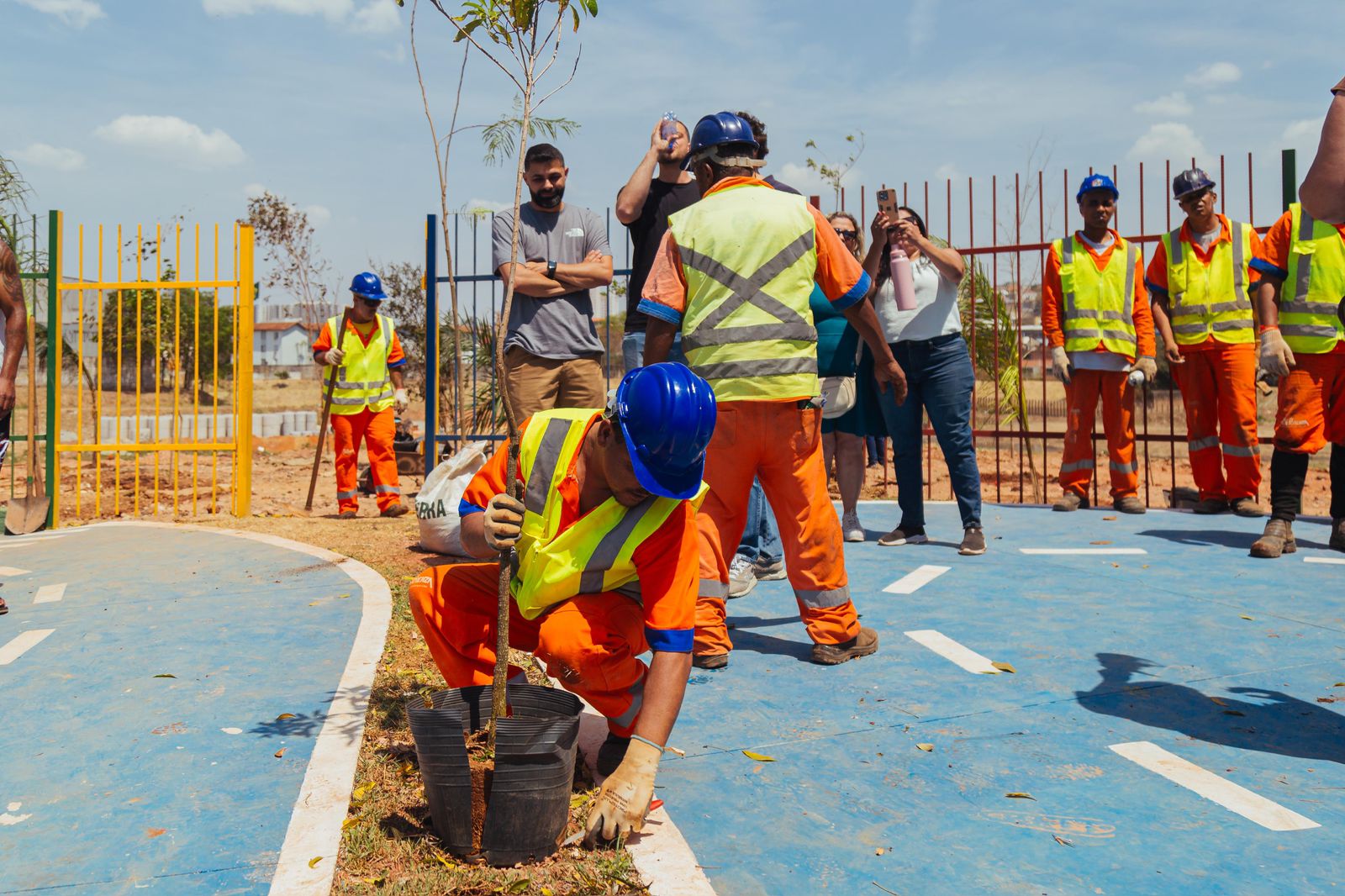 Trabalhador com uniforme laranja e colete refletivo segura uma muda de árvore e se prepara para plantá-la em área pavimentada com pintura azul, enquanto outros operários e moradores observam.