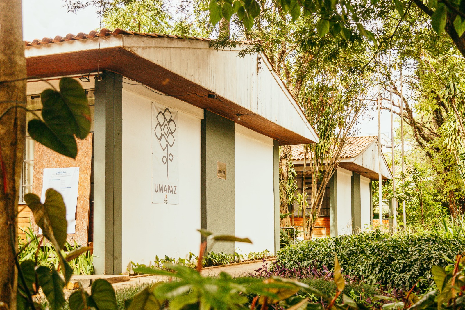 Foto de um conjunto de construções térreas em meio a muita vegetação. Em primeiro plano, há um prédio claro com colunas cinza e telhado inclinado, com uma placa escrita “UMAPAZ” na parede. O local é cercado por árvores, arbustos e plantas ornamentais, criando um ambiente verde e tranquilo, com outros prédios semelhantes aparecendo ao fundo.