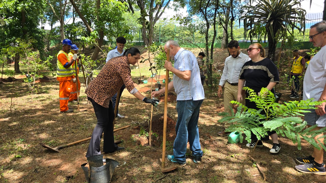 A imagem, capturada em um plano médio e ao ar livre, registra um mutirão de plantio em uma área arborizada sob a luz do sol. Ao centro, uma mulher com camisa de estampa de onça e calça preta inclina-se para manusear uma pequena muda de árvore, auxiliada por um homem de camisa listrada clara e calça jeans que segura uma ferramenta de apoio. Ao redor deles, outras pessoas observam e participam da ação, incluindo um homem de camisa branca e calça bege, e uma mulher de camiseta preta. No lado esquerdo, dois funcionários da manutenção, vestindo uniformes laranja com faixas refletivas e capacetes azuis, trabalham com enxadas. O terreno é de terra batida com grama rala e folhas secas, apresentando diversos pontos de terra revirada para o plantio. Ao fundo, árvores altas e uma grade de proteção delimitam o espaço, com o céu claro aparecendo entre as folhagens.